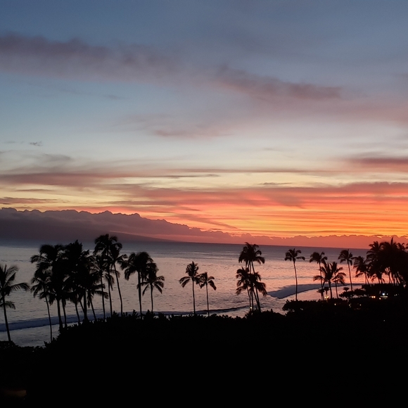 Meet your Posher, Kathy - Picture 1 of 2